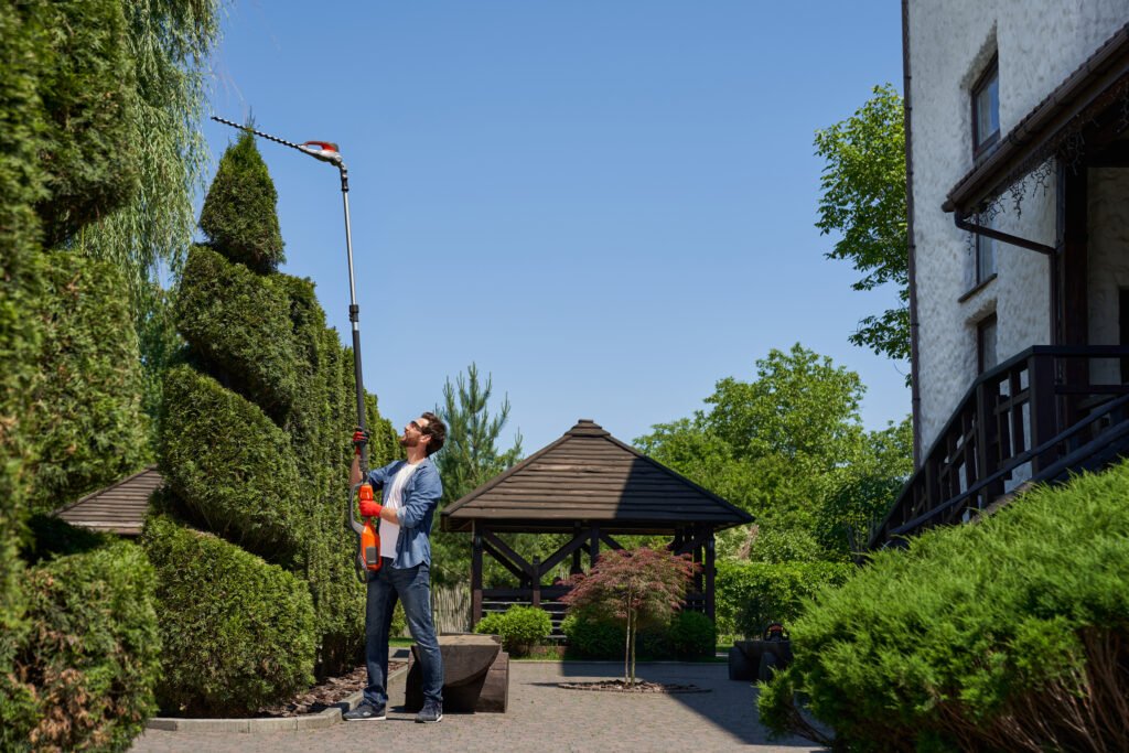 Skilful male landscaper using high altitude hedge trimmer for topiary, shaping thuja in park.